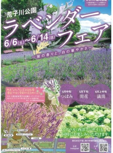 20260606荒子川　ラベンダーフェア表のサムネイル
